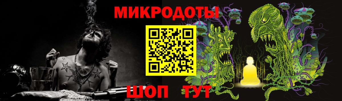 Псилоцибиновые грибы Psilocybine cubensis Гусев